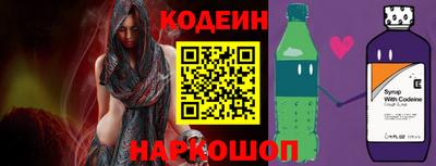 МДПВ Кингисепп
