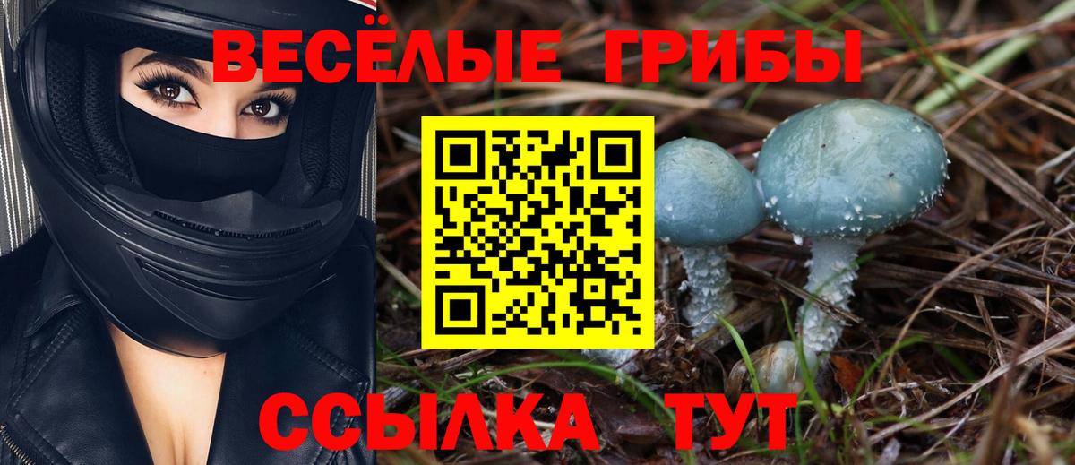 Псилоцибиновые грибы прущие грибы  Галлюциногенные грибы MAGIC MUSHROOMS  где найти   Вход с VPN  Лабытнанги 